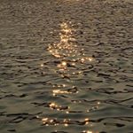 forever you dreaming